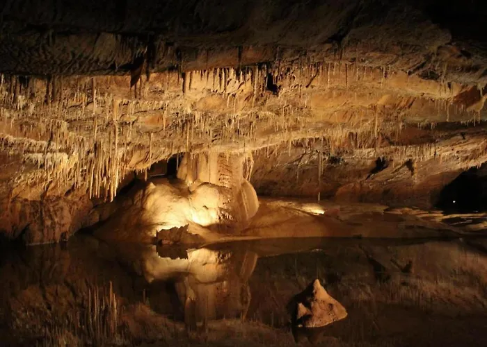 Nature Escape In With Pool ルブレサック