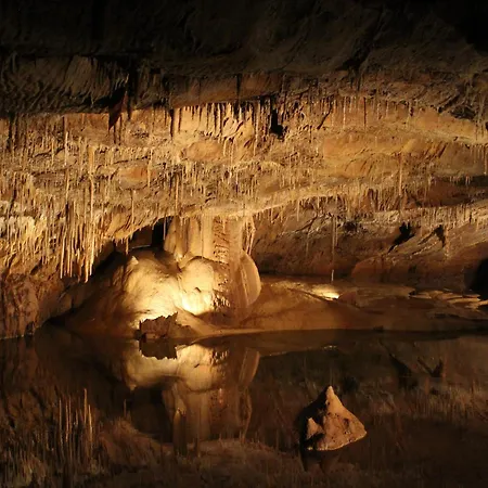 Maison De - * Loubressac