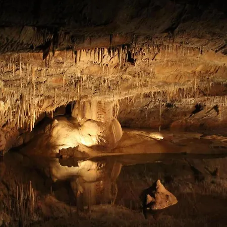 Nature Escape In Loubressac With Pool ルブレサック